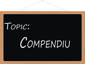 Proiect Compendiu - Colegiul Național Radu Negru