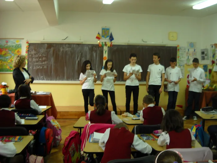 Concurs ECO - Colegiul Național Radu Negru