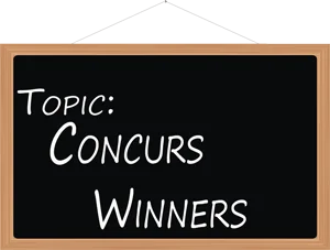 Concurs Winners - Colegiul Național Radu Negru