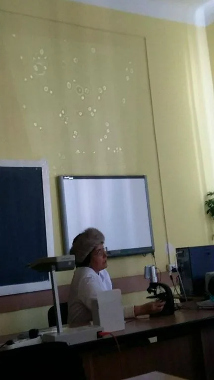 I love Biology - Colegiul Național Radu Negru