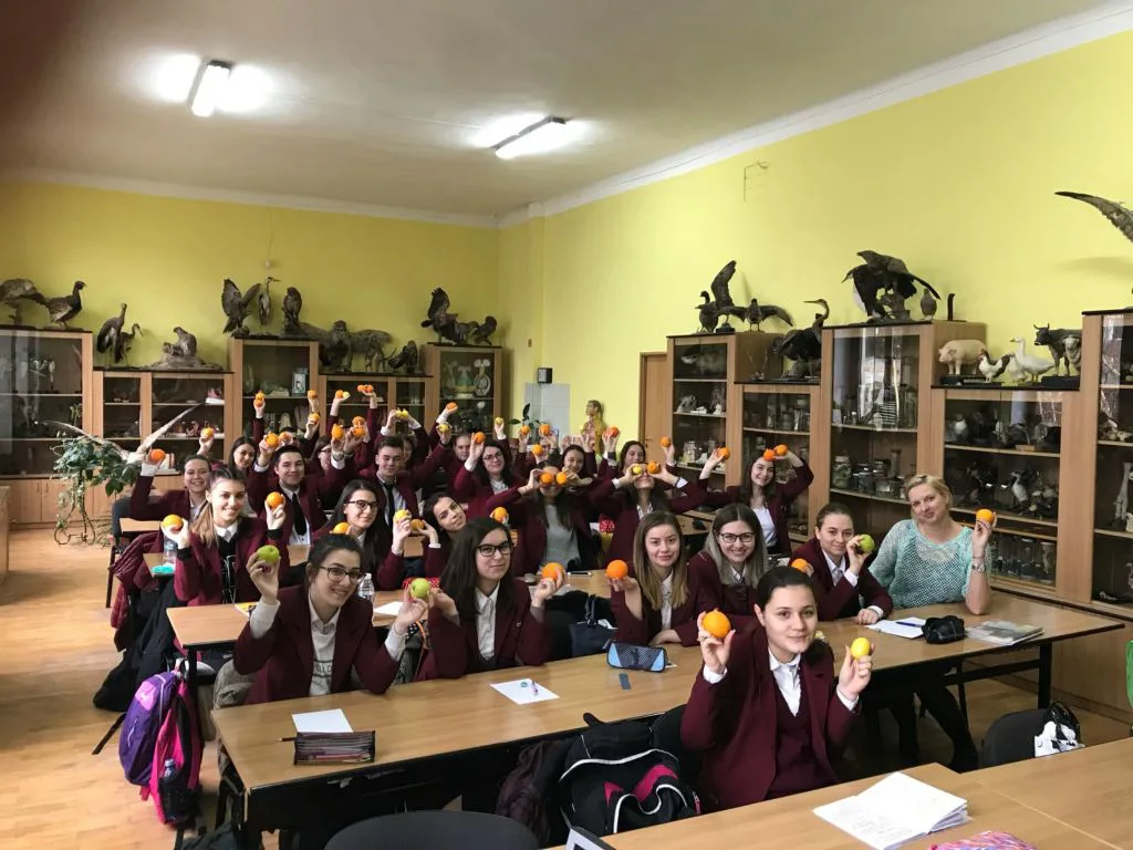 SNAC - Colegiul Național Radu Negru